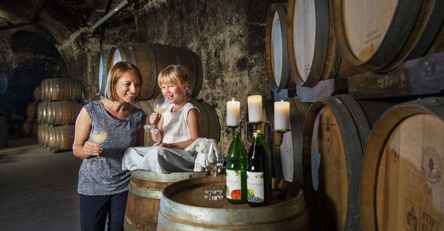 Vienna: Wine Tasting E-Bike Tour - Why this Vienna e-bike wine day works so well
