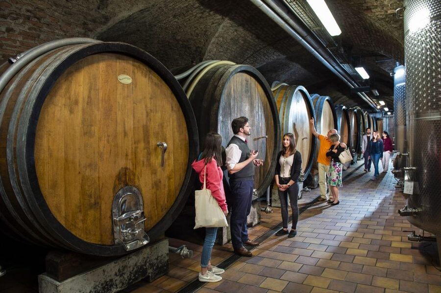 Vienna: Wine Tasting E-Bike Tour - Following the Danube Canal out toward Nussdorf and Kahlenberg