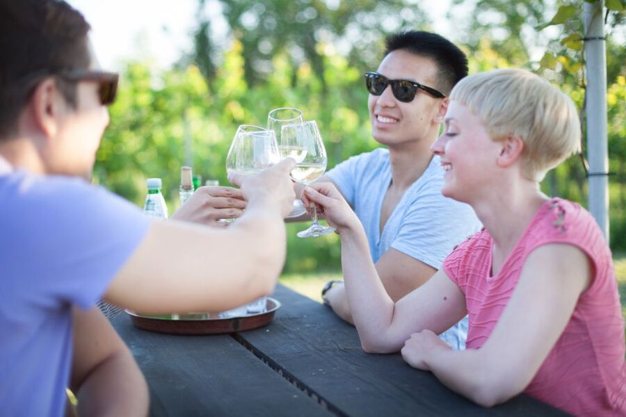 Vienna: Wine Tasting E-Bike Tour - Klosterneuburg Abbey: 30 minutes of guided history you can actually use