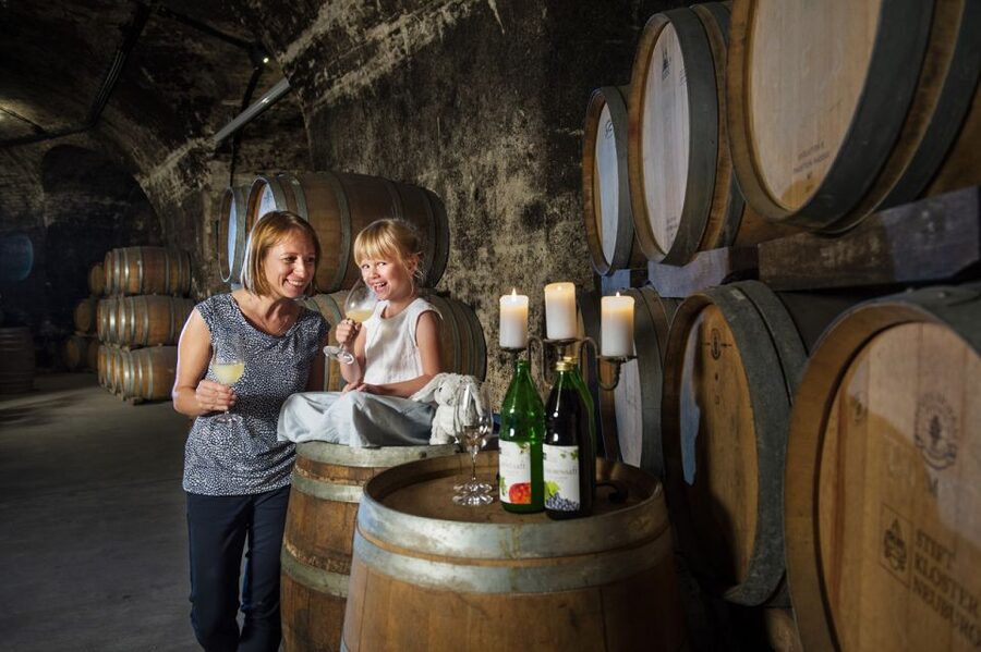 Vienna: Wine Tasting E-Bike Tour - From the meeting point to Ringstrasse landmarks