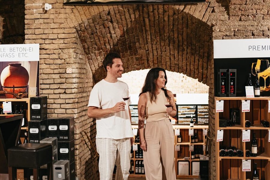 Vienna: Wine Tasting Experience in a Private Wine Cellar - Key things to know before you go