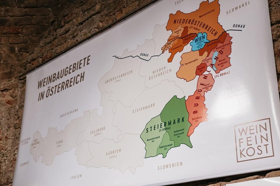 Vienna: Wine Tasting Experience in a Private Wine Cellar - The Cellar Experience: Hidden, Private, and Tied to Vienna’s Vineyard Roots