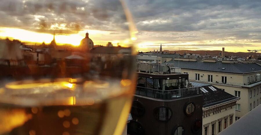 Vienna: Wine Tasting Tour - Key highlights in plain terms