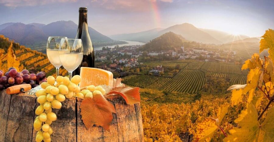 Vienna: Winery and Wine Tasting Tour with a Wine Expert - Key highlights