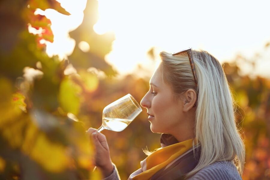 Vienna: Winery and Wine Tasting Tour with a Wine Expert - Vienna wine without leaving the city limits