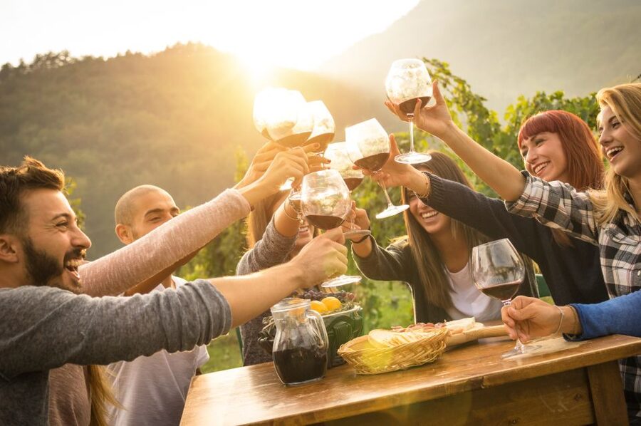 Vienna: Winery and Wine Tasting Tour with a Wine Expert - What the wine expert actually does for you