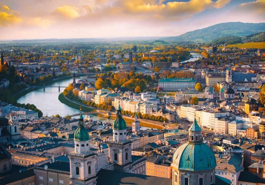 Vienna: Winery and Wine Tasting Tour with a Wine Expert - Should you book this Vienna wine tasting tour?