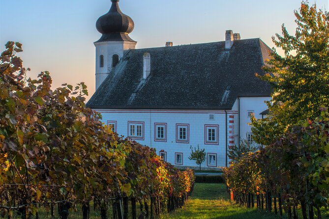 Vienna Woods Wine Tour - Wines, Vines & Good Times! - Summer hike reality check: the 9 km route and how to prepare
