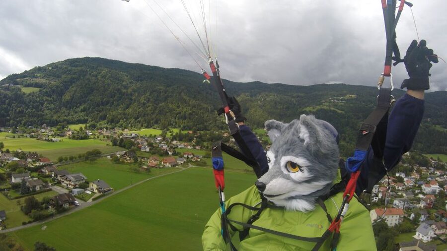Villach/Ossiachersee: Paragliding "Panorama" Tandemflug - Who this is a great fit for in Carinthia