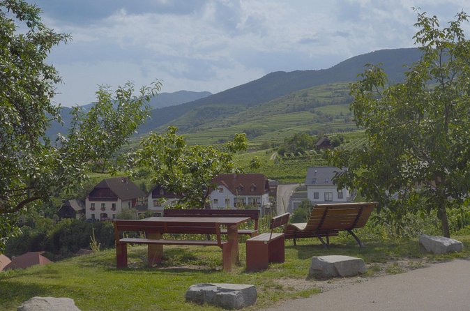 Wachau Discovery Tour - Krems an der Donau: Free Admission and a Relaxed Finish
