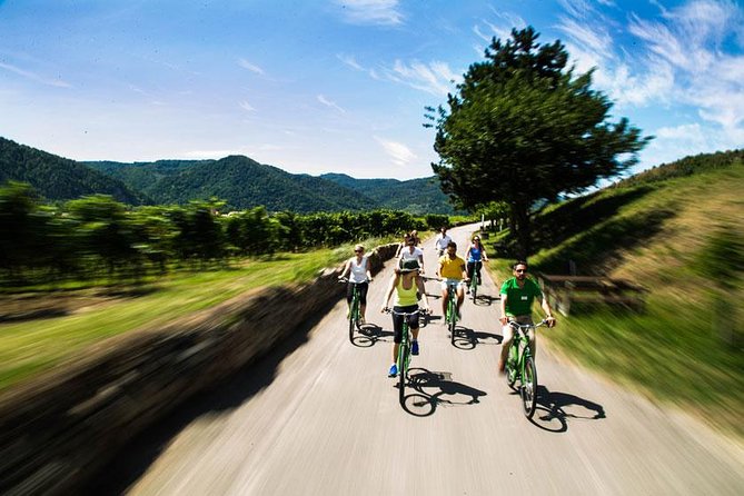 Wachau Valley Wine Tasting Bike Tour from Vienna - Weissenkirchen tastings and the Wachau wine logic you will actually remember