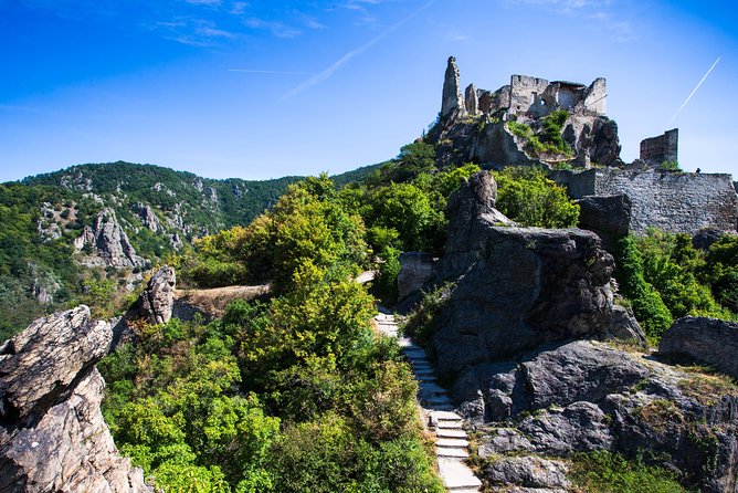 Wachau Valley Wine Tasting Bike Tour from Vienna - Lunch, swimming, and pacing a 11-hour day without rushing