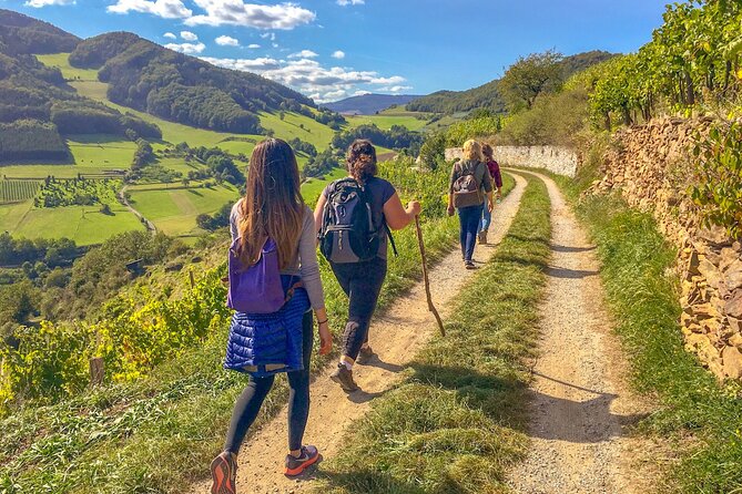 Wachau World Heritage Hike - Key things to know before you go