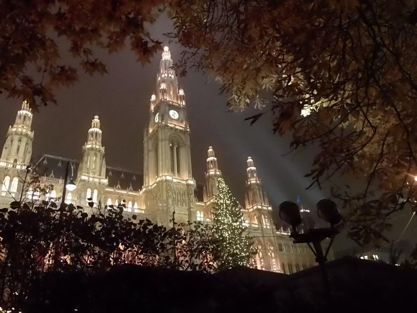 Wien: Tour with locals on the trails of the Christmas Tree - A Walk That Turns the Holiday Into a Vienna Story