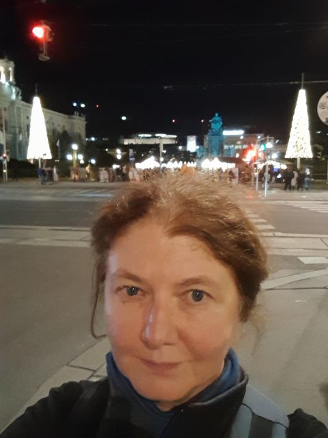 Wien: Tour with locals on the trails of the Christmas Tree - No Church Crawl, With One Optional Detour