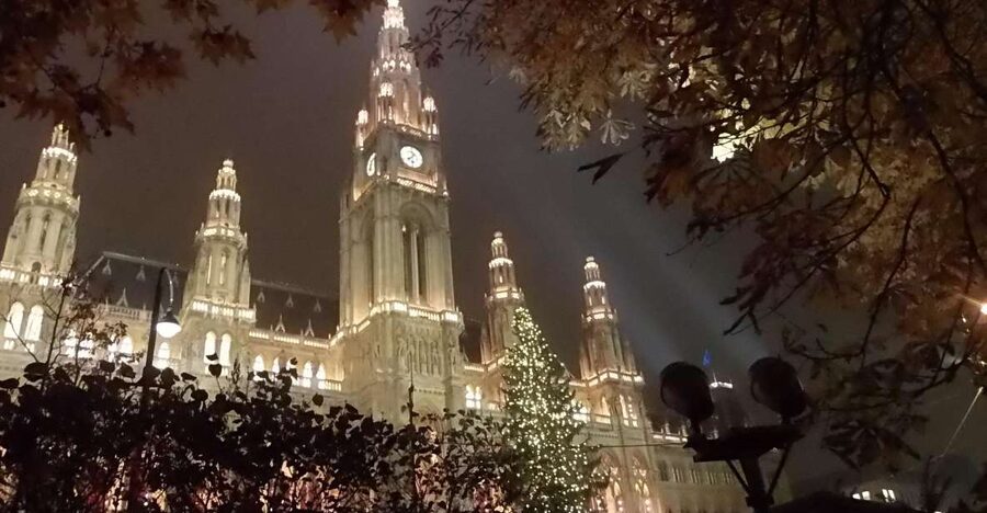 Wien: Tour with locals on the trails of the Christmas Tree - Meeting at Anker Clock, Then Getting Your Bearings Fast