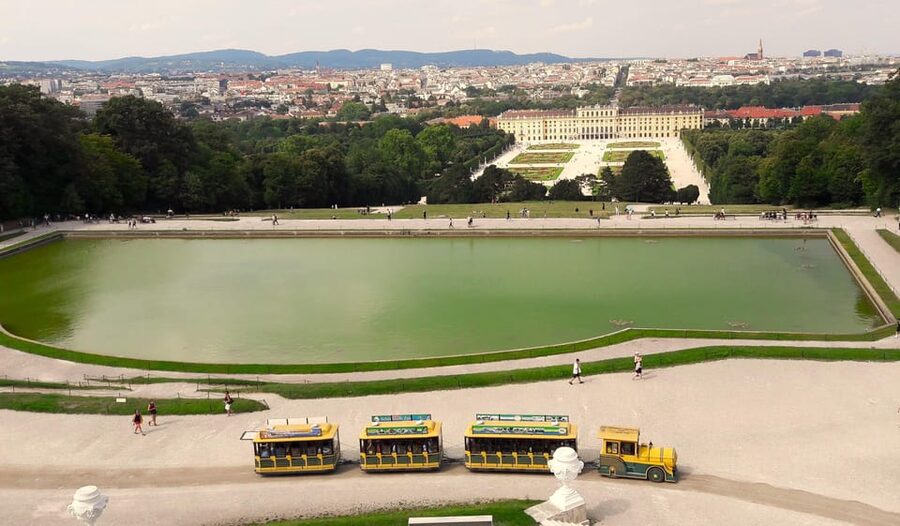Wien: Tours with locals by public transport & walking - Key points at a glance