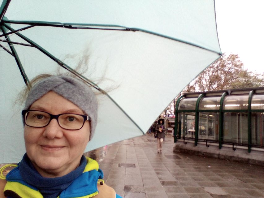 Wien: Tours with locals by public transport & walking - Belvedere Palace, gardens, and a smarter way to do the day