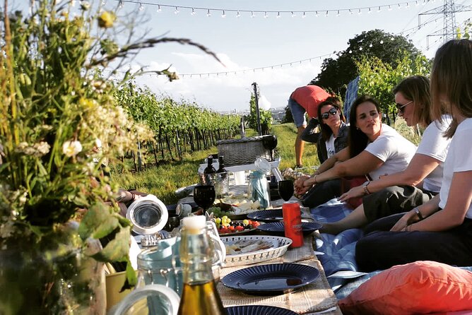 Wine Picknick overlocking vienna - Key things that make this picnic work