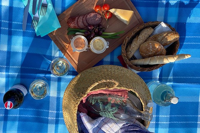 Wine Picknick overlocking vienna - Choosing the right moment for the view and your photos