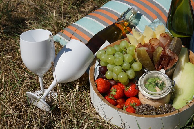 Wine Picknick overlocking vienna - Who should book this wine picnic (and who may feel it is short)